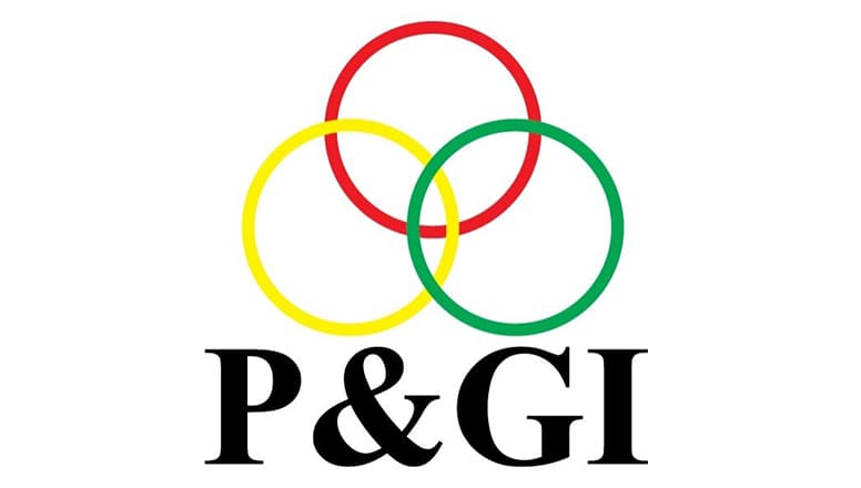 Paints & General Industries Limited